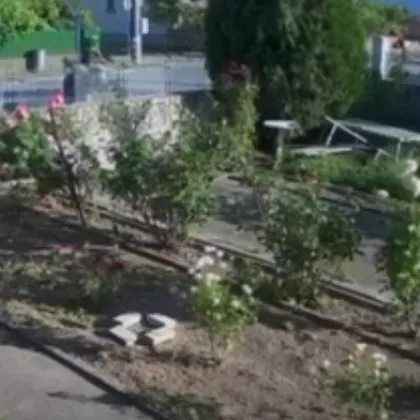Камера за видеонаблюдение инсталирана в частен дом е заснела тежкия