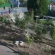 ВИДЕО показва момента на катастрофата с млада мотоциклетистка в с. Болярци