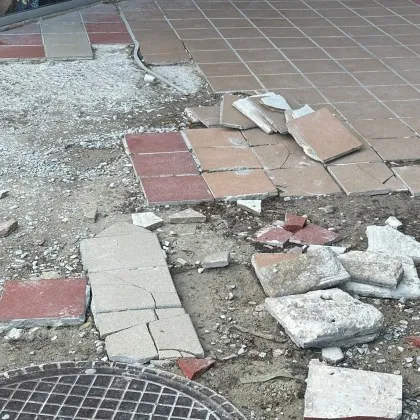 Триизмерни скулптури и разбити плочки красят Добрич и повдигат въпроси