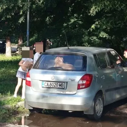 &bdquo;Ще се задуши!": Куче, заключено в кола, вдигна накрак цял квартал