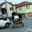 От Римската империя до КАТ: конят в Пловдив, който не е чел правилника за движение ВИДЕО