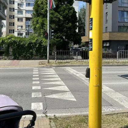 Необичайно дълго чакане на пешеходен светофар на бул Ломско шосе
