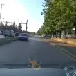Кой е по-виновен?: Поредна доза абсурд на улица в София ВИДЕО