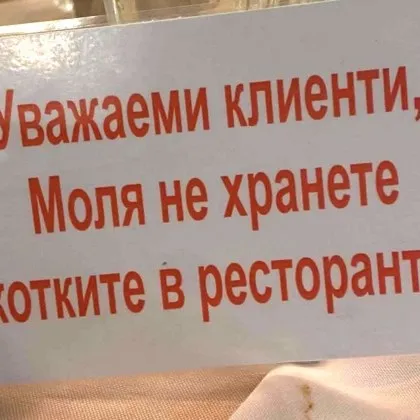Вълна от недоволство срещу варненски ресторант заради забрана за хранене на котки СНИМКА