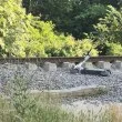 Опасна безотговорност: Зарязаха електрическа тротинетка върху релси