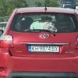 Опасно возене на &bdquo;Струма": дете лежи необезопасено върху задната кора