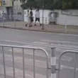 Пешеходна пътека "дух" повдигна настроенията в Сливен СНИМКИ