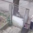 Топката му се спука, но това, което последва 15 минути по-късно, трогна Плевен
