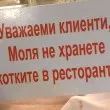 Вълна от недоволство срещу варненски ресторант заради забрана за хранене на котки СНИМКА