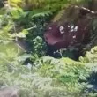 ВИДЕОЗАПИСИ, свидетели и отпечатъци: Разплита се дръзка кражба на мотор в София