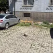 Новият "нотариален акт" в Пазарджик се оказа... камък СНИМКА