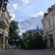 Огромно дърво рухна в центъра на Русе СНИМКА
