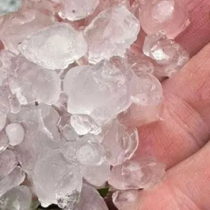 Градушка унищожи голяма част от реколтата в землищата на пловдивските