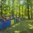 Дете колабира след падане от пързалка в Плевен, майка му отправи апел към Общината