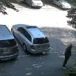 Мъж открадна декоративни фигурки пред блок в столичния кв. "Люлин", камера го засне