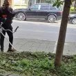 Пет години грижи, две минути работа: История от Пазарджик предизвика възмущение