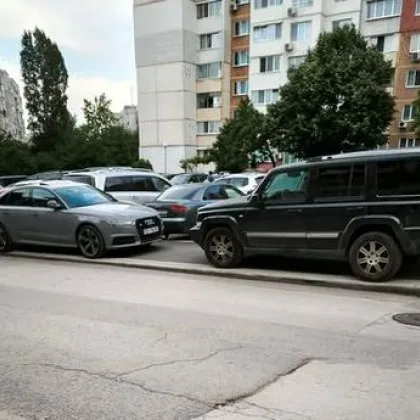 Заради накацалите по тротоара коли - столичанка бута инвалидна колична по улицата СНИМКА