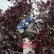 Пускат движението на мотриси между метростанции "Театрална" и "Хаджи Димитър"
