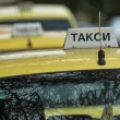 Бургазлийка твърди: Таксиметров шофьор хвърли кучето ми на земята