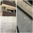 От гняв до уважение: Две момичета от &bdquo;Тракия" трогнаха съседите си СНИМКИ