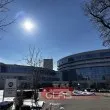 СГП и СРП повдигнаха обвинения на 15 души след мащабната акция в София