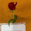 "Чаровен принц издирва своята принцеса": Послание във вход на блок в София стана хит СНИМКИ