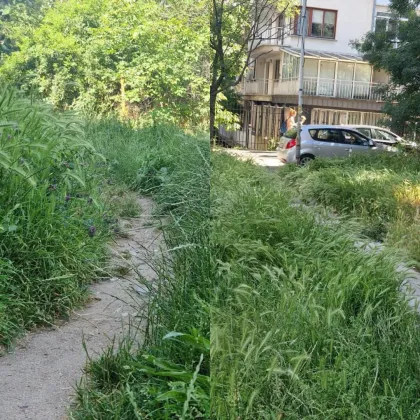 Безхаберието с неокосени зелени площи продължава. Докога?