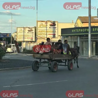 Движението на каруци с животинска тяга в град Пловдив е