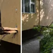 Опасно! Клон падна и се вряза в тераса СНИМКИ