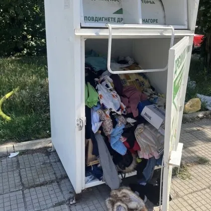 Контейнер или гардероб на открито? Димитровград осъмна със сутиени по тротоара