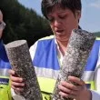 &bdquo;Хемус" отваря предсрочно, а Диана Русинова е доволна ВИДЕО