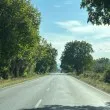 От днес до петък се премахва крайпътна растителност от София до "Кулата", алармира АПИ