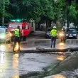 Клон рухна насред булевард СНИМКА