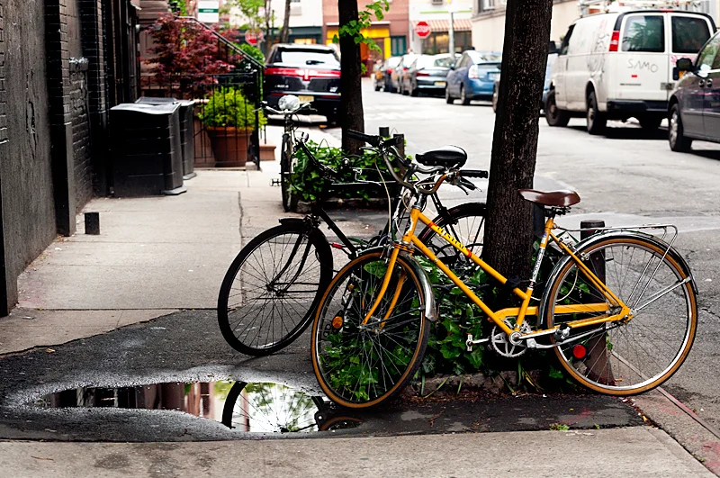 Деца превърнаха &bdquo;Витошка" в изпитателна писта с въже и тротинетка ВИДЕО