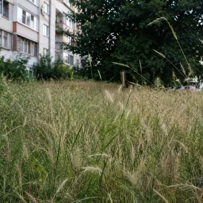 &bdquo;Ще ви разкажем играта!": Осили, кърлежи и джунгла до колене изкараха хората извън нерви