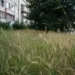 &bdquo;Ще ви разкажем играта!": Осили, кърлежи и джунгла до колене изкараха хората извън нерви