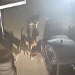 В Чирпан страхът от бездомните кучета изпреварва строежа на приюта