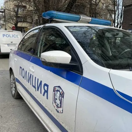Полицейски патрул прегази куче в центъра на Самоков Това твърдят