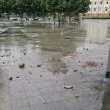 Секунди от трагедия в центъра на Плевен: Тухли се стовариха върху пешеходна зона СНИМКИ