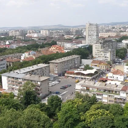 Тъжна гледка на малко кученце затворено в клетка пред магазин