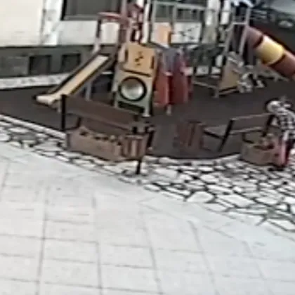 Родна община сигнализира за популярна кражба ВИДЕО