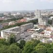 "Милото цялото трепереше": Изплашено кученце, затворено в клетка пред магазин в Стара Загора