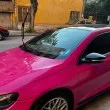"Бозайници" посегнаха на колите на пловдивчанка СНИМКИ
