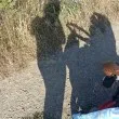 Пепелянка влезе в бебешката количка: Молба на майка разпали спор в мрежата