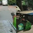 Дама в зелено припозна асфалта за контейнер за смет ВИДЕО