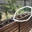 Столичанка избухна: Толкова ли нямате 2 евро?