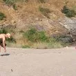 Родна картинка: Спасител чисти след туристите на наш плаж СНИМКИ