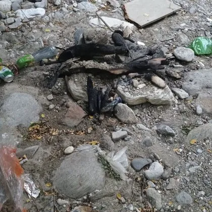 След огньове и купища отпадъци: Доброволци в Асеновград казаха &bdquo;Стига!"