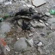 След огньове и купища отпадъци: Доброволци в Асеновград казаха &bdquo;Стига!"