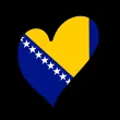 Босна и Херцеговина отказа участие в Евровизия догодина
